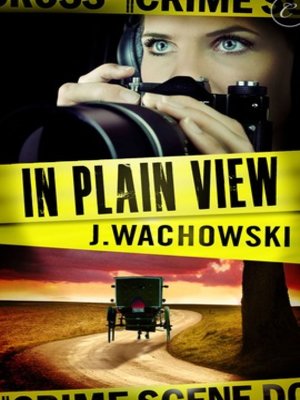 cover image of In Plain View